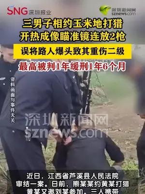 男子玉米地打猎重伤路人获刑