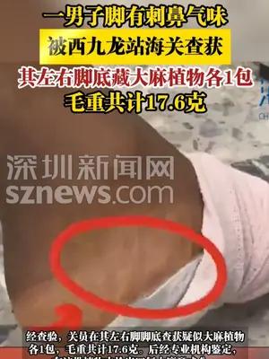 一男子脚有刺鼻气味，被海关查获其左右脚底藏大麻植物各1包