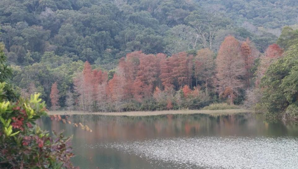 深圳2025年气候公报发布 盐田区最舒适，全年舒适天数达260天！