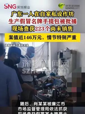 男子在自家生产223个假冒名牌包被批捕