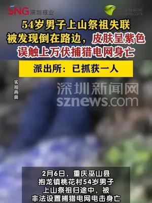男子上山祭祖遭捕猎电网电击身亡