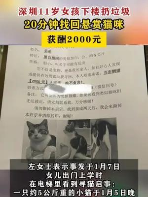 深圳11岁女孩下楼扔垃圾，找回悬赏猫咪获酬2000元