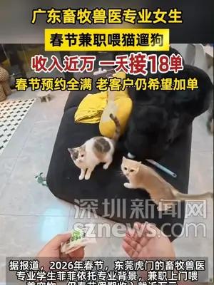 广东畜牧兽医专业女生，春节兼职喂猫遛狗，收入近万