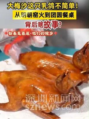 大梅沙这只乳鸽不简单！