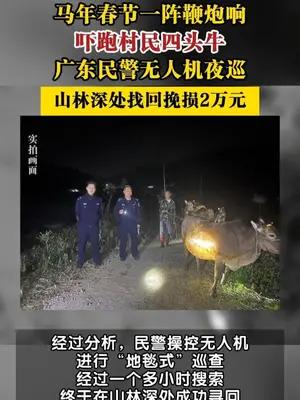 四头黄牛被鞭炮声吓跑民警无人机进山一小时找回