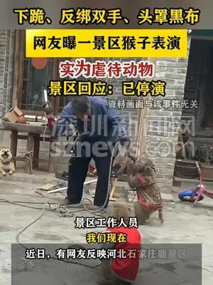 下跪、反绑双手、头罩黑布 景区回应猴子表演实为虐待动物