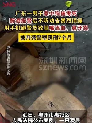 男子家中狗被毒死醉酒报警后袭警获刑