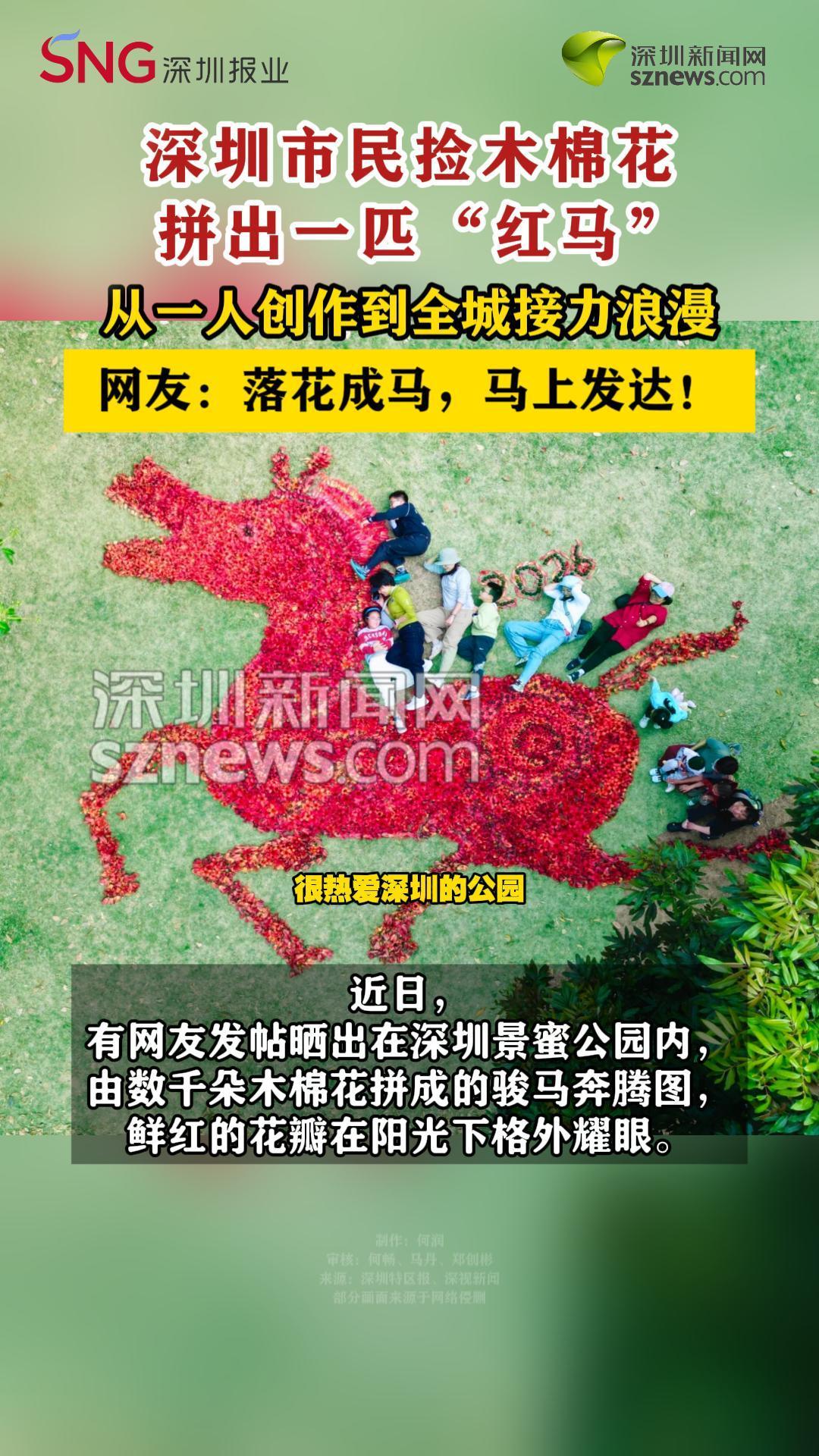 深圳市民捡木棉花拼出一匹“红马”