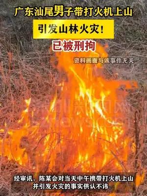 广东汕尾男子带打火机上山引发山林火灾！已被刑拘