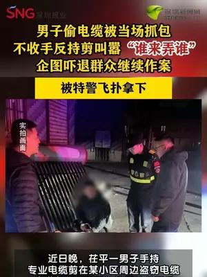 男子深夜偷剪电缆被抓包持械叫嚣被特警飞扑制服