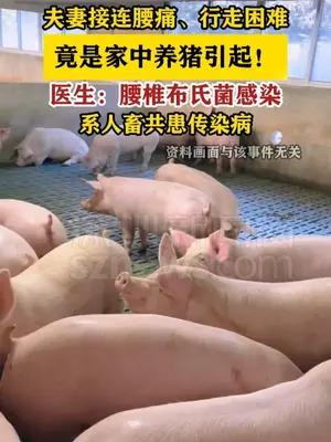 夫妻接连腰痛、行走困难，竟是家中养猪引起！