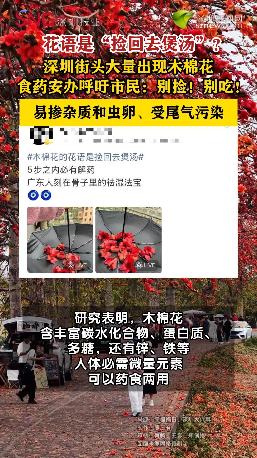 深圳街头大量出现木棉花食药安办呼吁别捡别吃