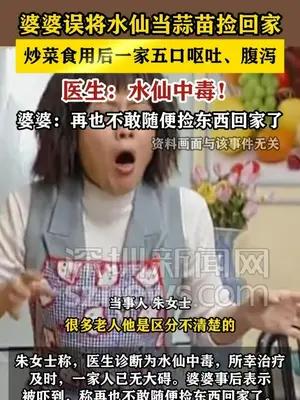 婆婆误将水仙当蒜苗捡回家 炒菜食用后全家中毒