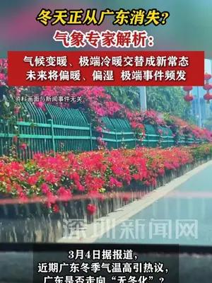 冬天正从广东消失？气象专家解析