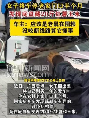 女子车停老家门口半个月 发现底盘藏20斤红薯玉米