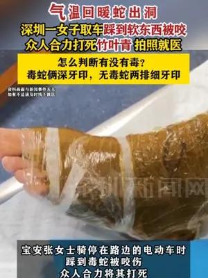 深圳一女子取车踩到毒蛇被咬