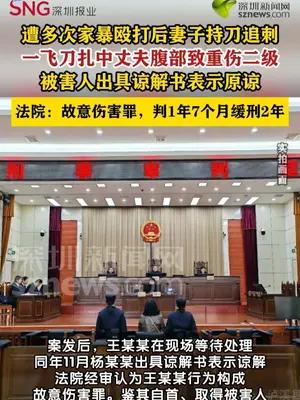 妻子遭多次家暴后持刀追刺致丈夫重伤获刑