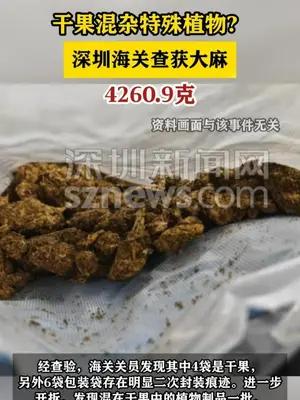 深圳海关查获大麻4260.9克