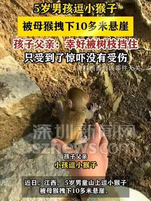 5岁男孩逗小猴子被母猴拽下10多米悬崖