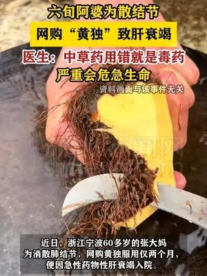 六旬阿婆为散结节网购“黄独”致肝衰竭
