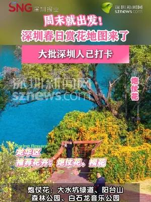 深圳这些春日赏花打卡点藏不住了