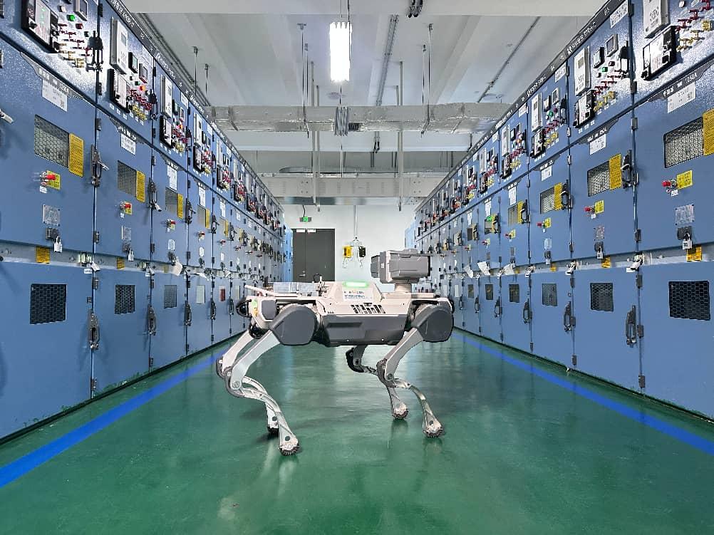 算电协同！中广核绿电合作规模超30亿千瓦时