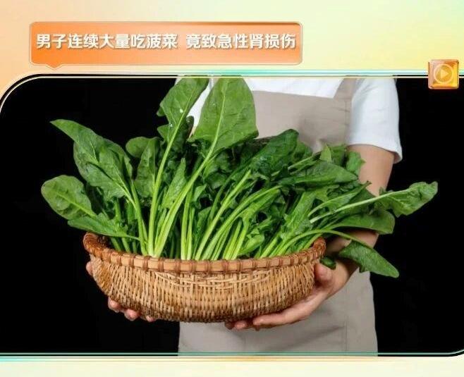 春天餐桌菠菜不能少 这份菠菜食用指南请收好