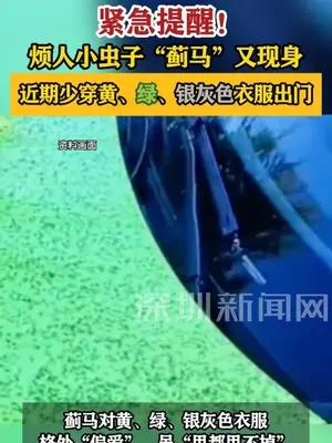 烦人小虫子“蓟马”又现身，近期少穿黄、绿、银灰色衣服出门
