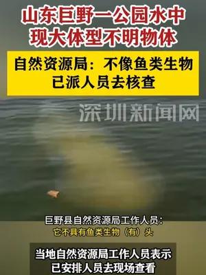 山东巨野一公园水中现大体型不明物体，自然资源局：已派人核查