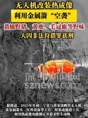 无人机改装热成像利用金属箭“空袭”猎捕野味，三人获刑