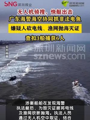 广东湛江海警查获3艘非法电鱼渔船抓获6人