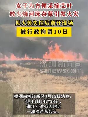 女子为方便采摘艾叶放火烧河床杂草被行政拘留10日