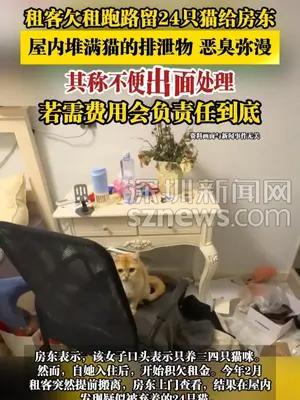 租客欠租跑路留24只猫给房东，屋内堆满猫的排泄物，恶臭弥漫