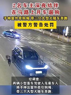 2车主深夜结伴在马路上开车遛狗