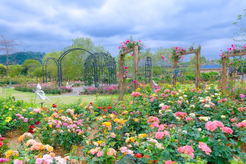 DSCF5782.jpg
