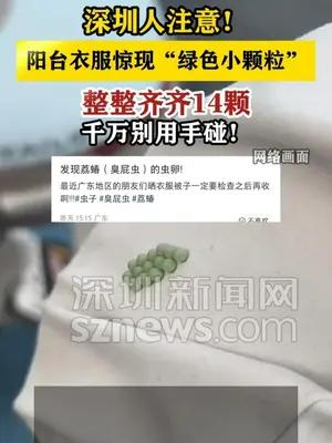 深圳人注意！阳台衣服惊现“绿色小颗粒”千万别用手碰！