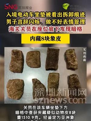 电动自行车坐垫下藏8块象皮被海关查获