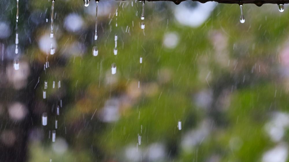 南方月底前阴雨频繁 北方晴暖升级多地气温将连创新高