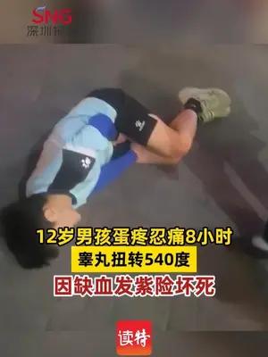 12岁男孩蛋疼忍痛8小时，睾丸扭转540度，因缺血发紫险坏死