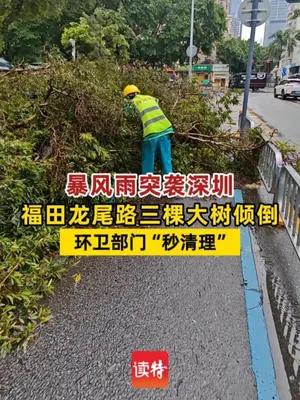 福田龙尾路三棵大树倾倒，环卫部门“秒清理”