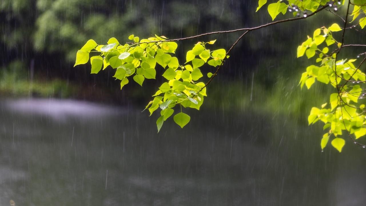 暴雨、冰雹、雷暴大风来袭！清明假期这些地方注意防范