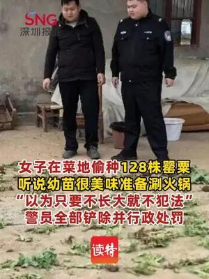 女子种128株罂粟幼苗准备涮火锅被被警方处罚