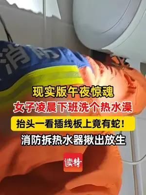 女子凌晨洗澡，抬头一看插线板上盘着一条蛇