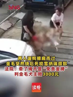 牵绳遛狗时犬只突然扑咬他人宠物，法院判赔3000元