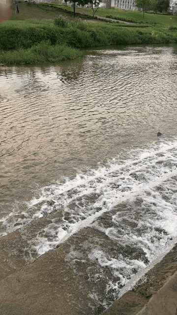 lovegif_1775716141739.gif