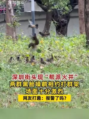 深圳街头现“帮派火并”？