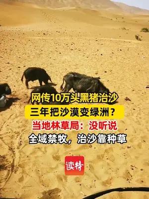 网传“10万头黑猪让沙漠变绿洲”，当地林草局回应