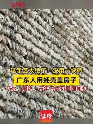 这手艺太绝了！没用一块砖，广东人用蚝壳盖房子