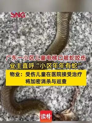 广东一小区儿童电梯口被蛇咬伤