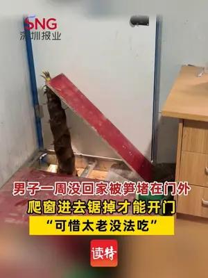 男子一星期没回家被笋堵在门外
